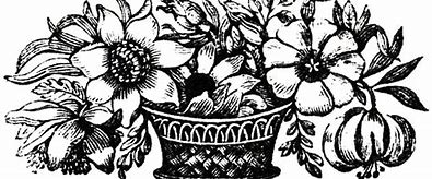 Image result for Black and White Plant Basket