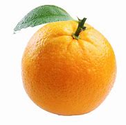 Image result for Orange Invisible PNG