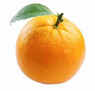 Image result for Orange Fruit Transparent