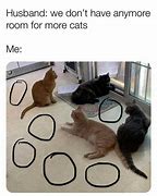 Image result for Meme Room 8 Cat