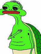 Image result for Wholesome Turtle Meme