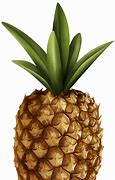 Image result for Pineapple 1/4 Phone