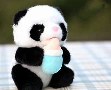 Image result for Cute Panda Toys