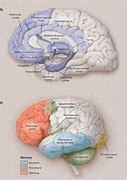 Image result for Episodic Memory