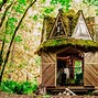Image result for Moss-Covered Cottage
