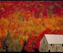 Image result for New Brunswick Fall