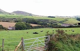 Image result for Penyffordd Farm Gower Adrienne