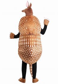 Image result for Holiday Armadillo Costume