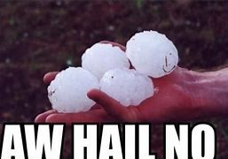 Image result for What the Hail Meme