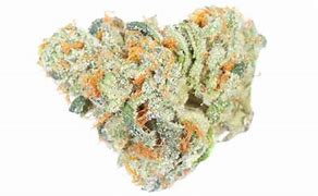 Image result for Maven Cannabis