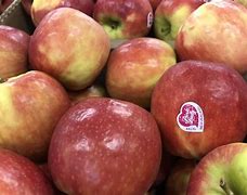 Image result for Gala Apple vs Pink Lady