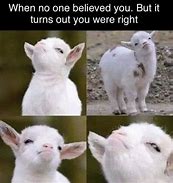 Image result for You Were Right Meme