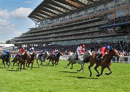 Image result for Royal Ascot Racing
