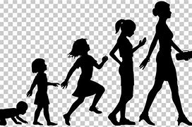 Image result for Human Growth and Development Clip Art