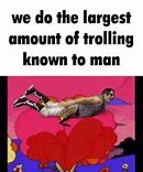 Image result for The Biggest Troll in the Internet