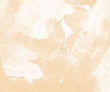 Image result for Champagne Soft Background