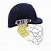 Image result for Neon Cricket Helmets