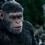 Image result for Planet of the Apes Caesar Movie