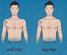 Image result for How to Make Shoulders Smaller