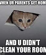 Image result for Ceiling Cat Meme