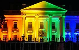 Image result for Trump LGBTQ Support