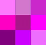 Image result for Agenta Couleur