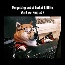 Image result for What Time Do You Start Work Meme