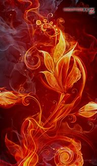 Image result for Cute Amazon Fire Wallpaper