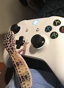 Image result for Funny Xbox Wallpapers