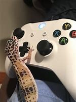 Image result for Funny Xbox Pics 1080X1080
