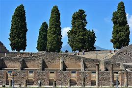 Image result for Pompeii Gladiators