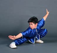 Image result for Wushu Kung Fu