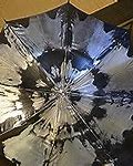 Image result for Silver Reflective Umbrella