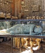 Image result for Vesuvius Pompeii Bodies