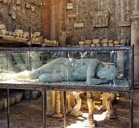 Image result for Pompeii Bodies Frozen in Time