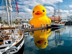 Image result for Lake Erie Rubber Duck