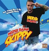 Image result for Damn Skippy CD