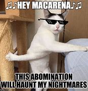 Image result for Nightmare Cat Meme