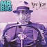 Image result for Mr. Big CD