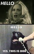 Image result for Adele Hello Meme