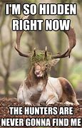 Image result for Deer Honey Meme