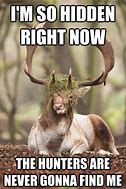 Image result for Scary Deer Meme