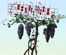 Image result for Singing Grapes