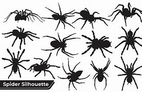Image result for Spider Silhouette JPEG Vector