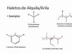 Image result for alquinila