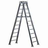 Image result for Ladder Match