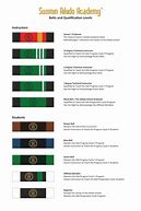 Image result for Aikido Belt Ranks