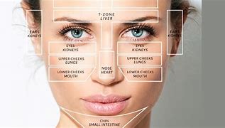 Image result for Traditional Chinese Face Mapping