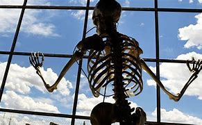 Image result for Skeleton Staring Meme