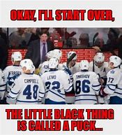 Image result for Hockey Memes Leafs